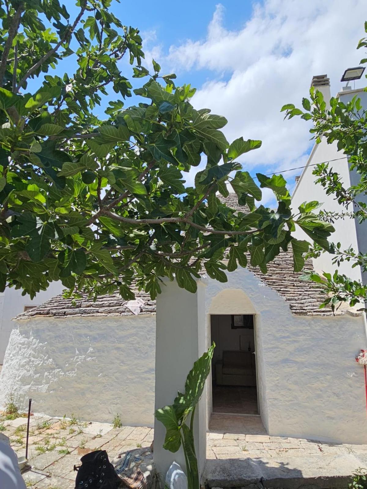 River Trulli Oasi Di Pace In Sito Unesco Alberobello Zewnętrze zdjęcie