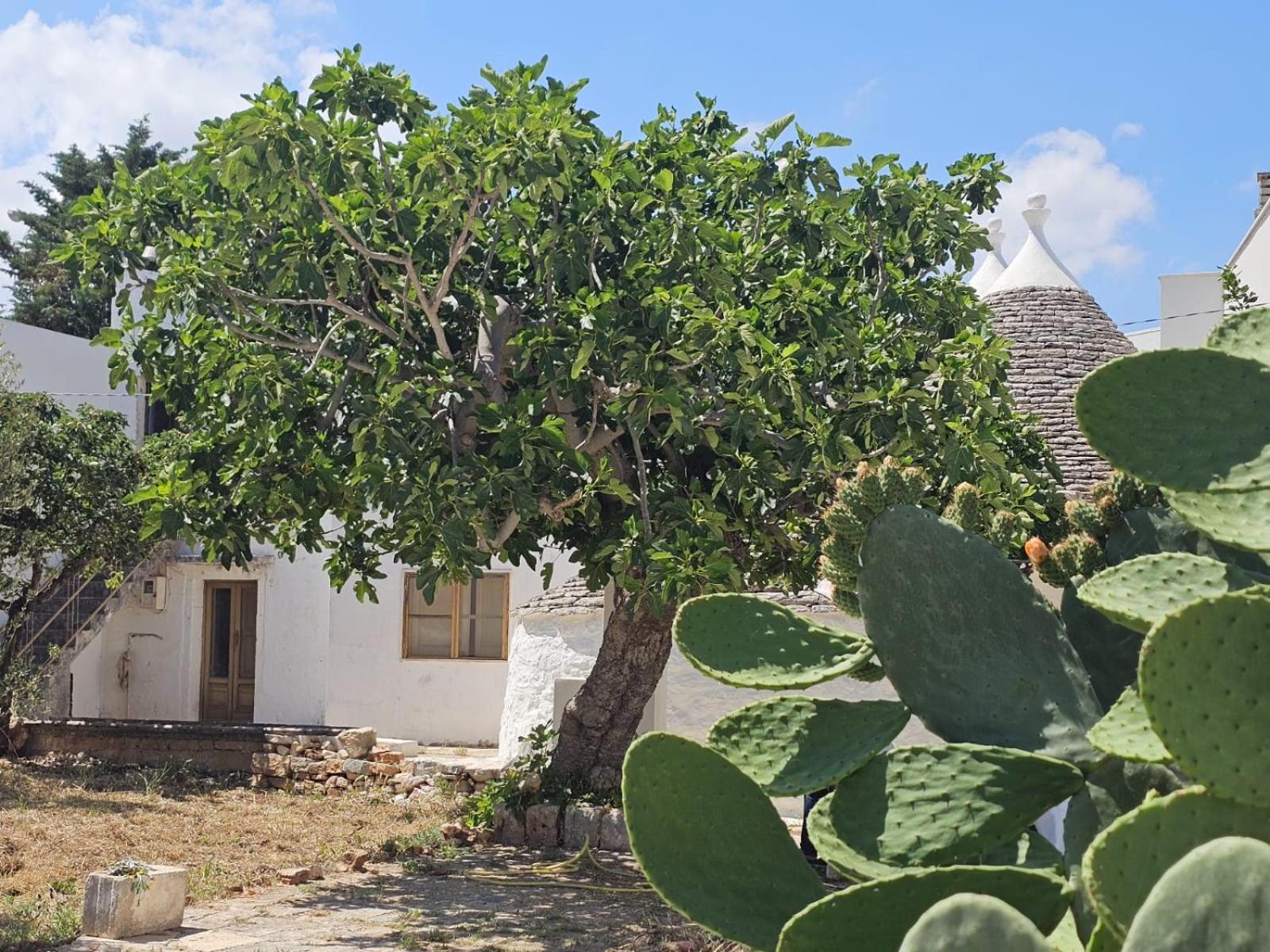 River Trulli Oasi Di Pace In Sito Unesco Alberobello Zewnętrze zdjęcie