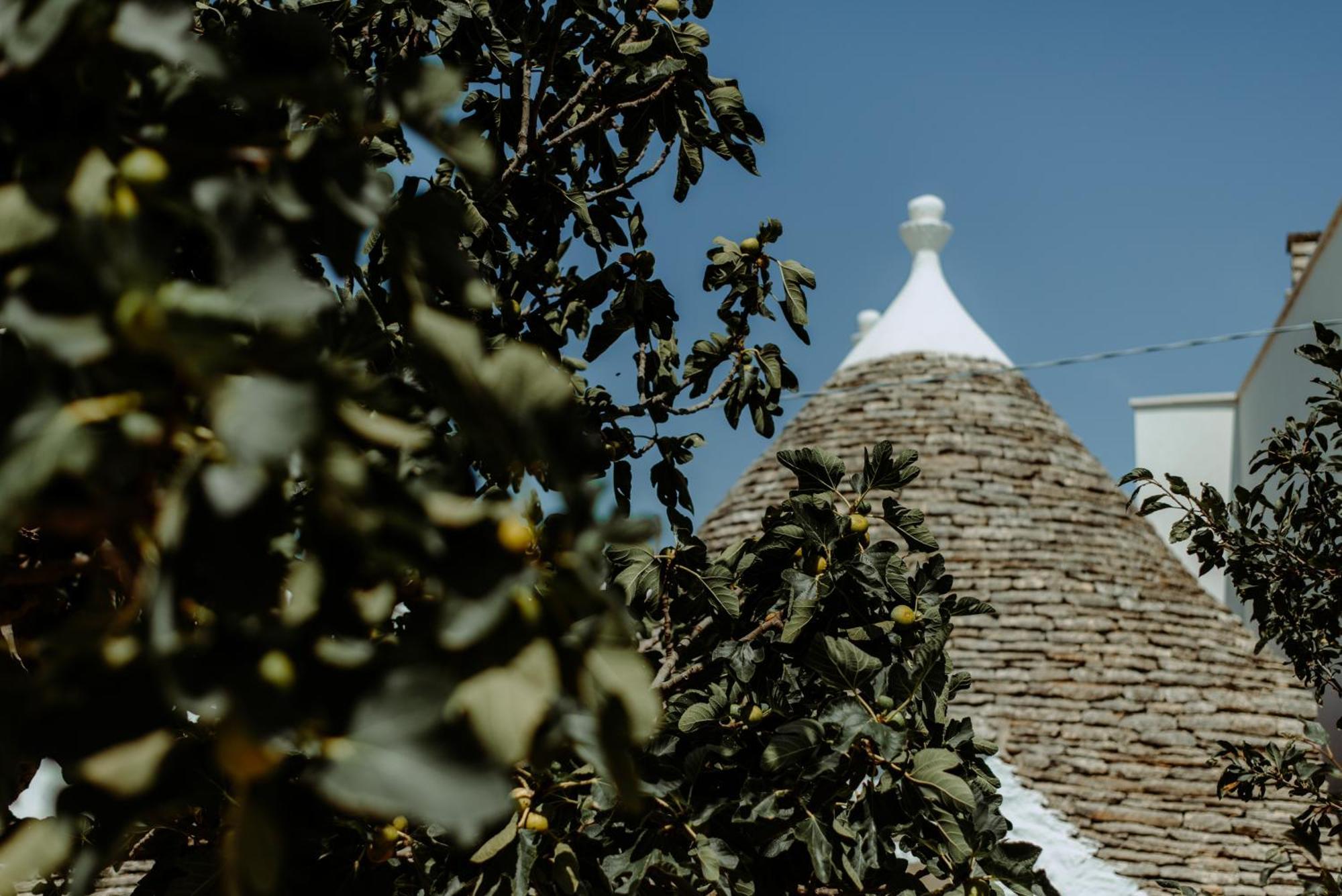 River Trulli Oasi Di Pace In Sito Unesco Alberobello Zewnętrze zdjęcie